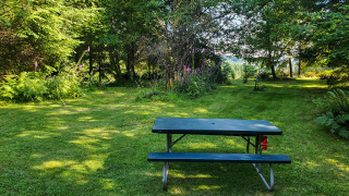 Picnic Area Alpine Park