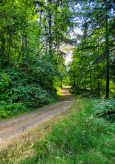 Southern Exposure Road