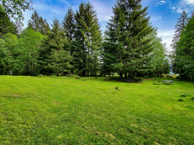 Central MSR Alpine Park