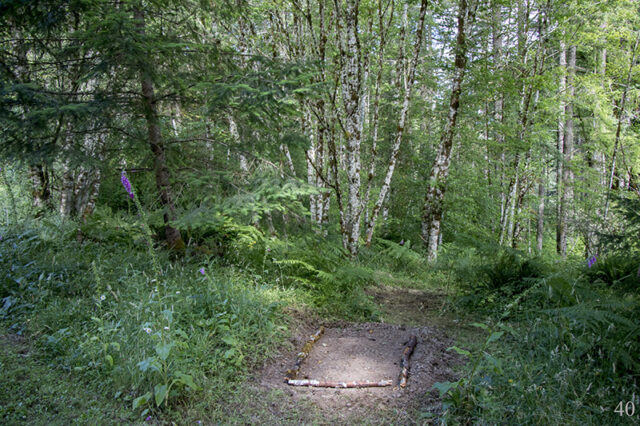 MSR Disc Golf Dark Shadows Tee