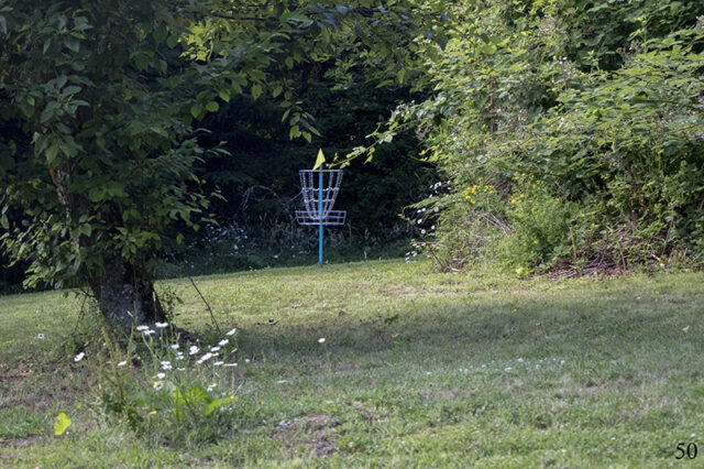 MSR Disc Golf Hole #9