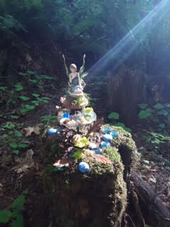 Fairy Light along Sanctuary Trail