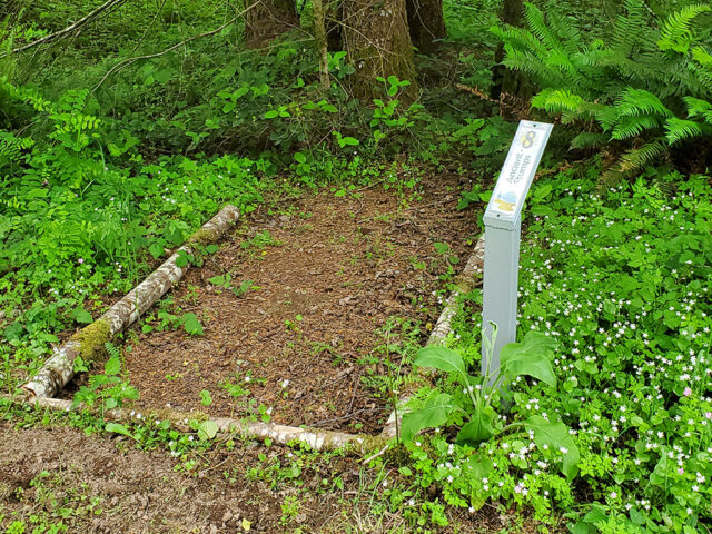 MSR Disc Golf #8 Tee