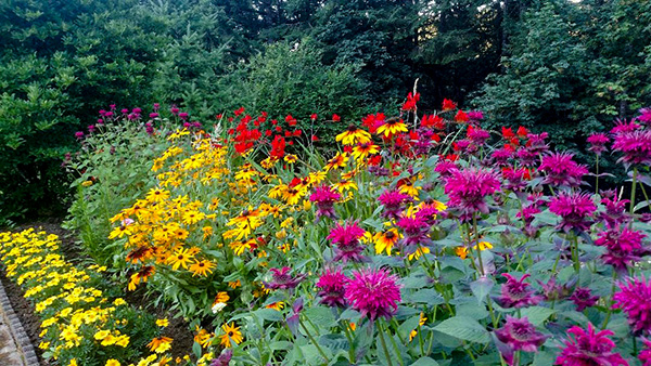 July Flowers in MSR flower garden