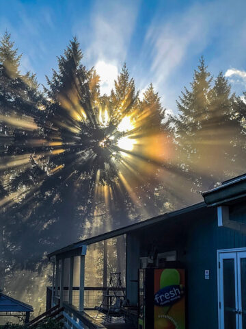 MSR Clubhouse-Sun-Flare
