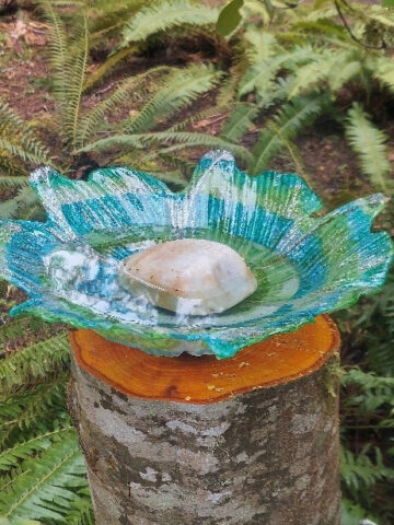 April-Earth Day-Bird Bath - MSR Sanctuary Trail