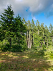 Scenic walking trail at clothing-optional resort in Oregon