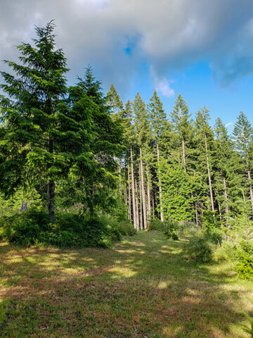 Scenic walking trail at clothing-optional resort in Oregon