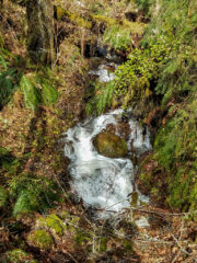 Rushing creek at MSR