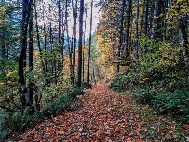 Hiking Deer Trail in Autumn at MSR