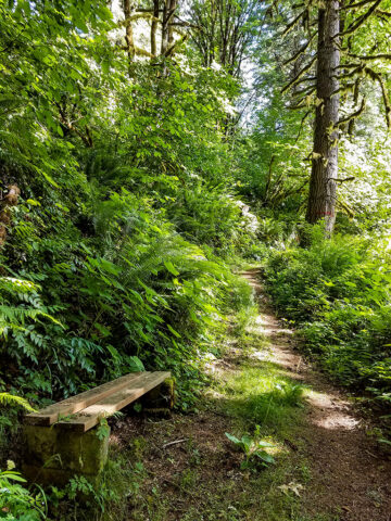 Benches to stop and rest while hiking at MSR