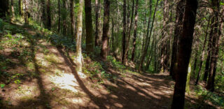Many hiking choices at MSR