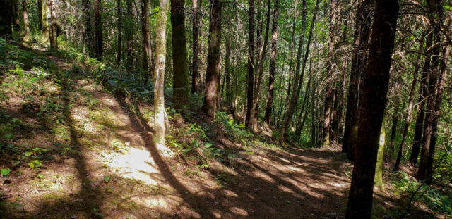 Many hiking choices at MSR