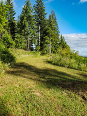 The trail to Alpine Park at MSR